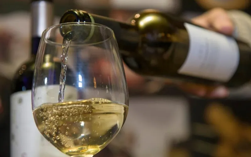 Cata de Vinos Melquior 