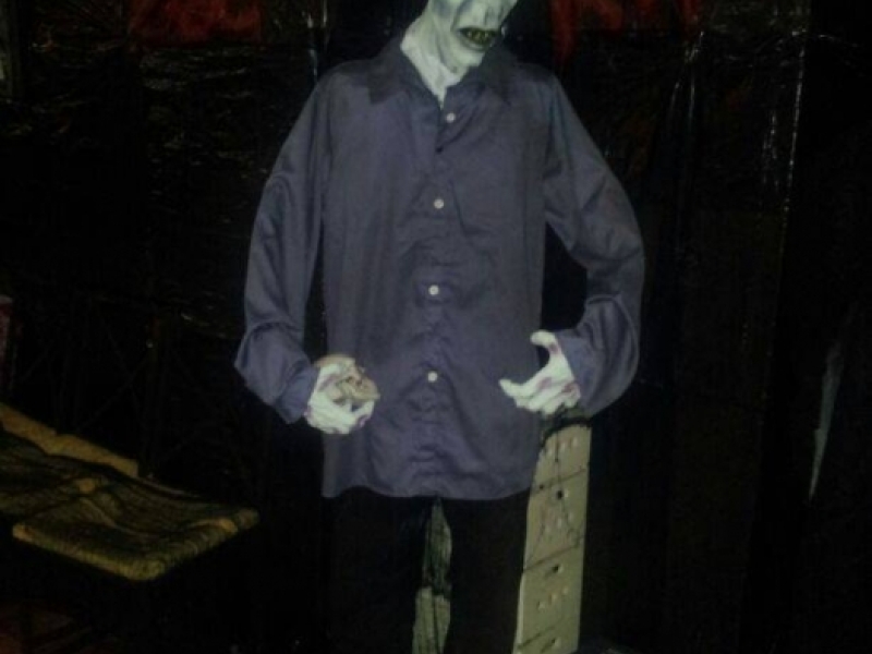 Halloween 2013 