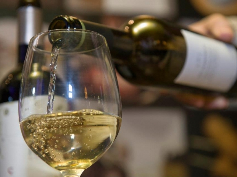 Cata de Vinos Melquior 